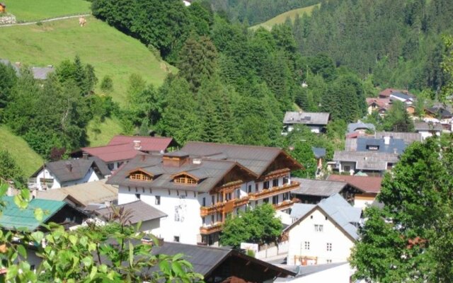 Hotel Alpenrose Mühlbach am Hochkönig