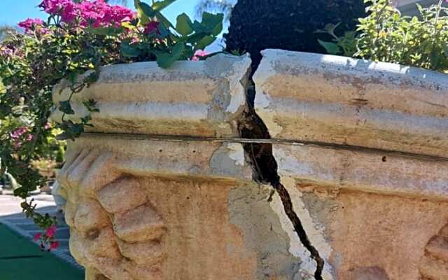 Tettoeletto Garden Bio