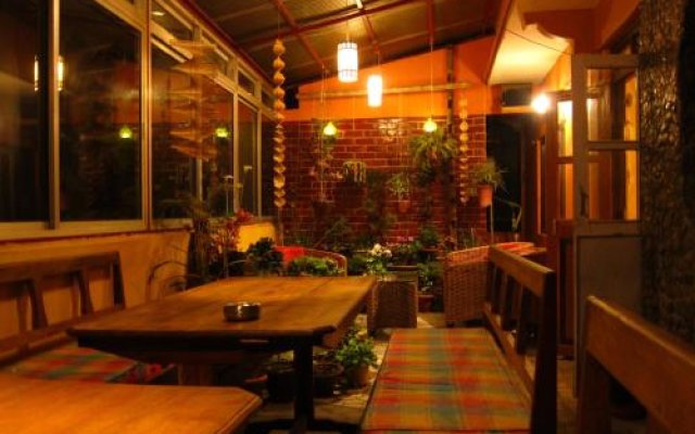 Golden Orchid - The Lodge