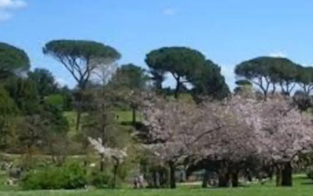 Nice and Charming House near Vaticano