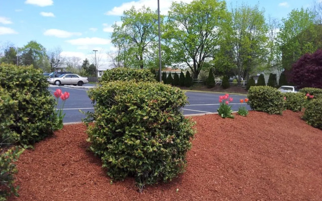 President Inn & Suites