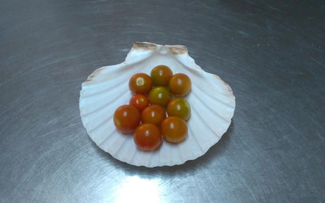 Hostal Casa Paco - Mirador del Caslilla