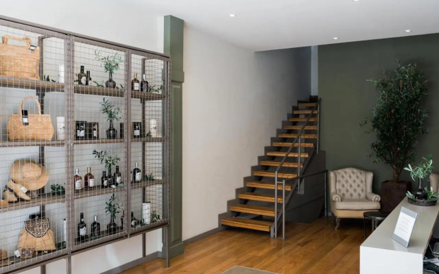 Olive Nature – Tourism Apartments