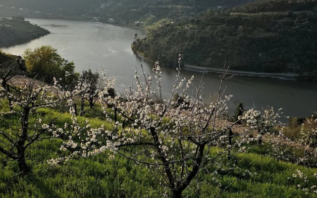 Quinta D'Joanes Douro