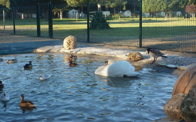 Camping Le Sainte Marie