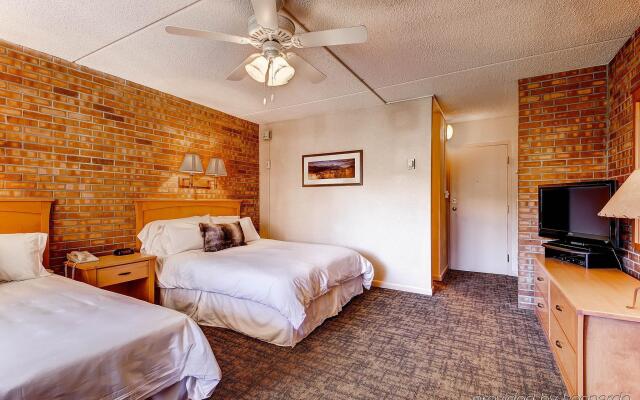 Mountain Chalet Snowmass