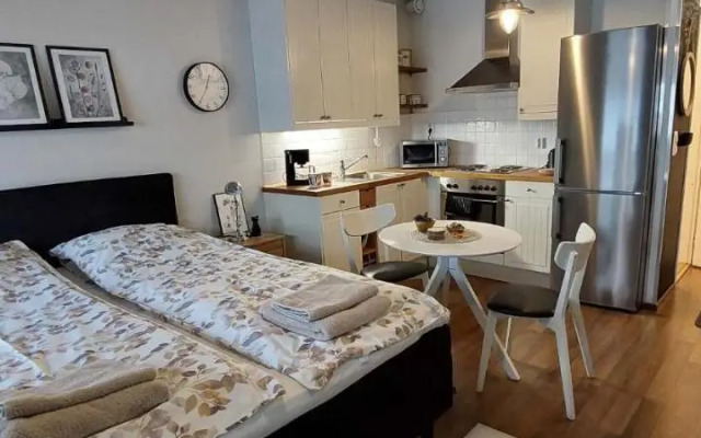 Scandinavian Home