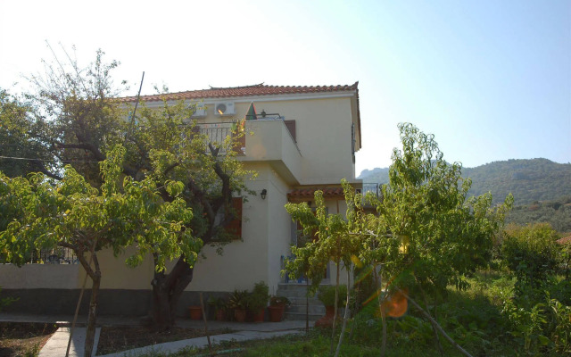 Vassilis Studios