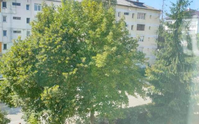 Apartament cu 1 dormitor