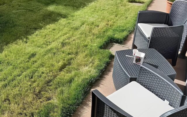 Neagas House Lissone