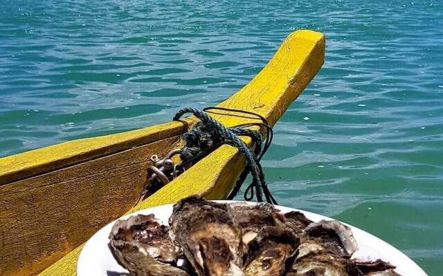 Cobertura em Barra Bali Destino BSM