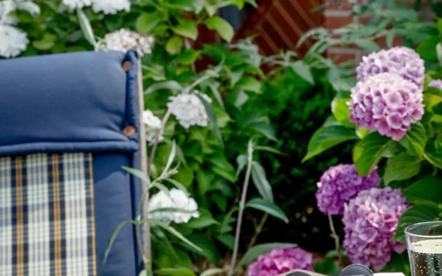 Söhrenhof - Spechtschmiede