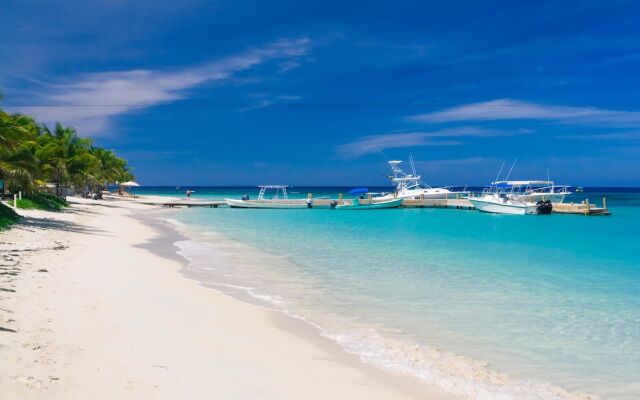 La Casa Buena Vida T 21