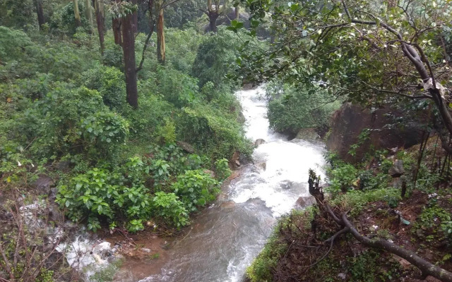 Pavithra Riverview Homestay
