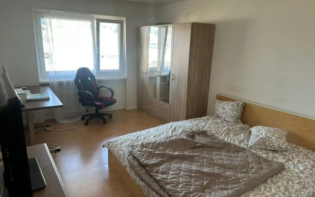 Cosy Apartment in Aadorf