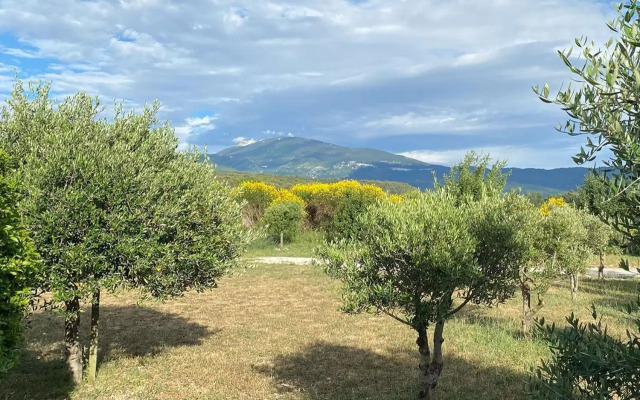 Maison de charme avec vue sur le Mont Ventoux
