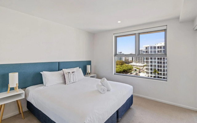 Verve on Cotton Tree