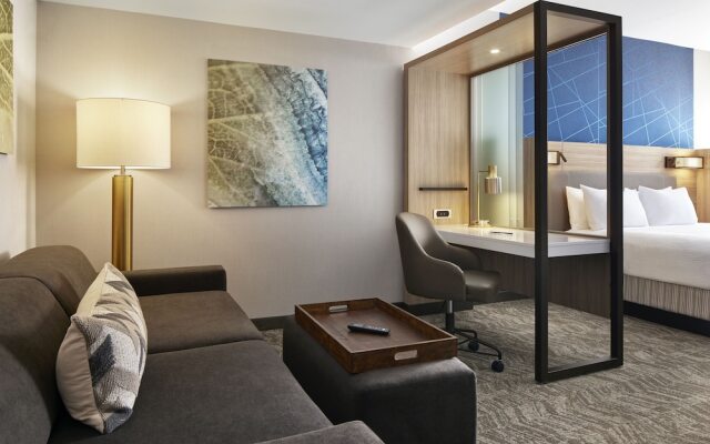 Springhill Suites By Marriott Frederica