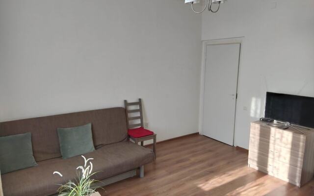 Apartment B Sampsonievsky 97