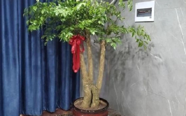 Hangzhou boguan Hotel