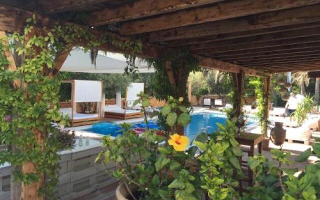 Acora Ibiza