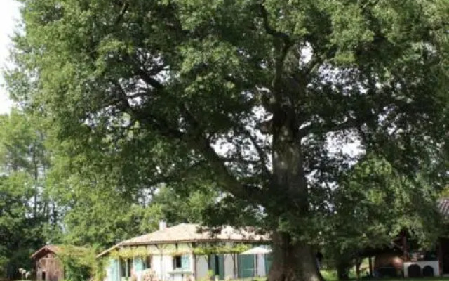 Gîte Luglon, 2 pièces, 2 personnes - FR-1-360-316