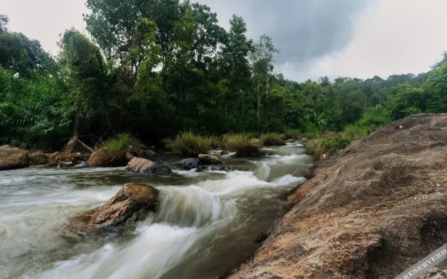 Misty River