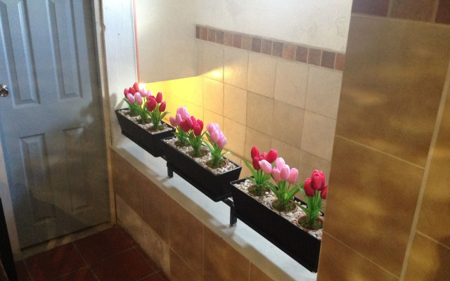 Hotel Terranova Tampico