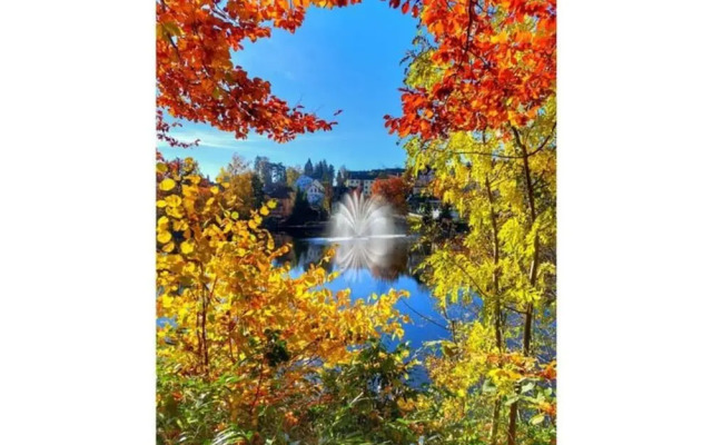 Classy Apartment in Bad Sachsa