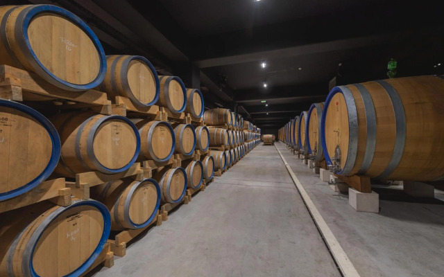 Winery & Design hotel ROXANICH