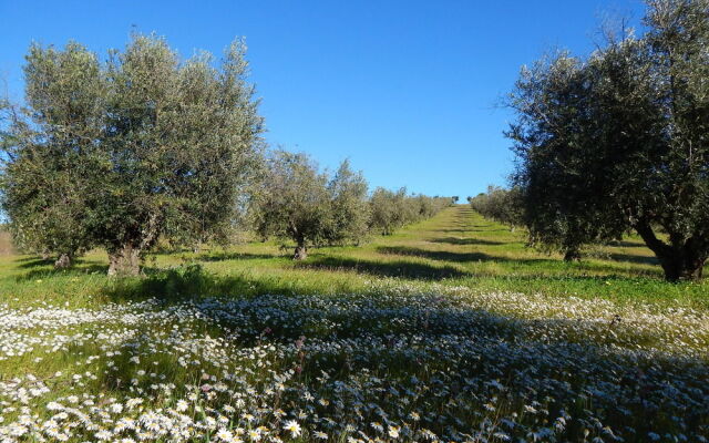 Quinta das Ratoeiras