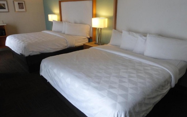 Red Roof Inn PLUS+ & Suites Tampa