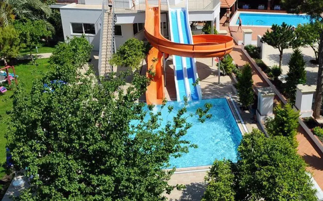 Catty Cats Garden Hotel