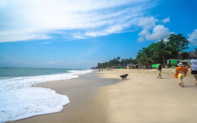 The Hive Hotel Samui
