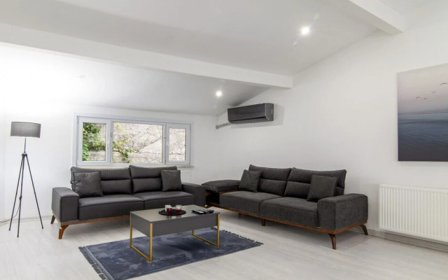Sleek House With a Lovely Terrace in Besiktas