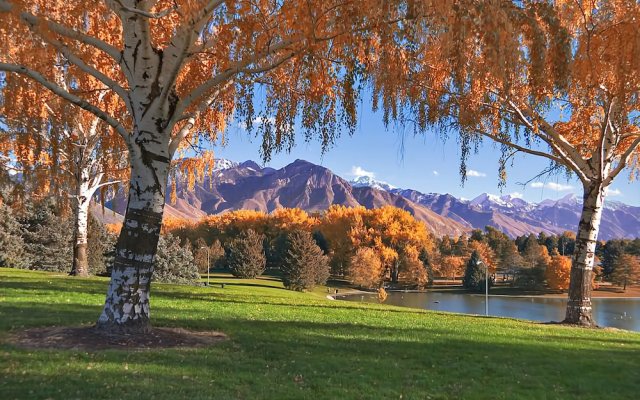 Beautiful Home in the Sugarhouse District of Salt Lake by Wasatch Vacation Homes