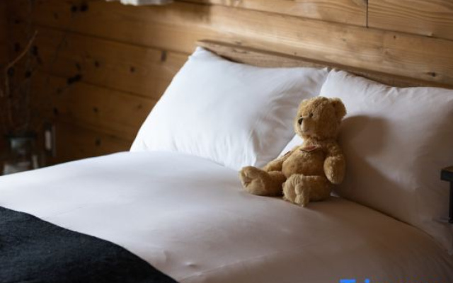 Hermann Teddy Collectors' House