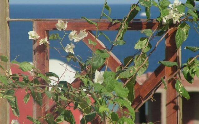 Paradise Hill Apartments