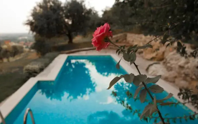 Cà Delle Vigne