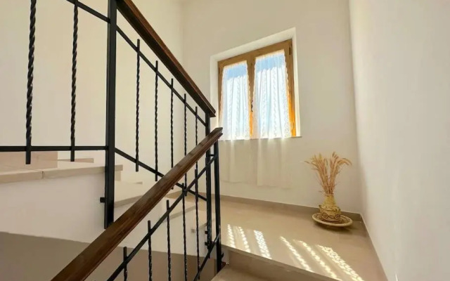 Le piccole Vigne (Vignine)