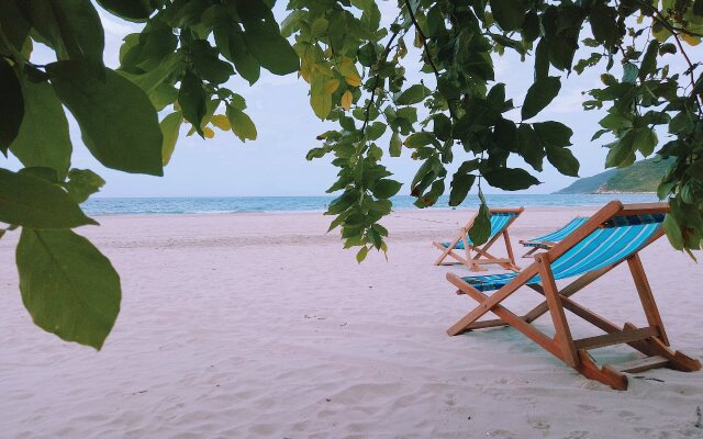 Wild Beach Resort & Spa