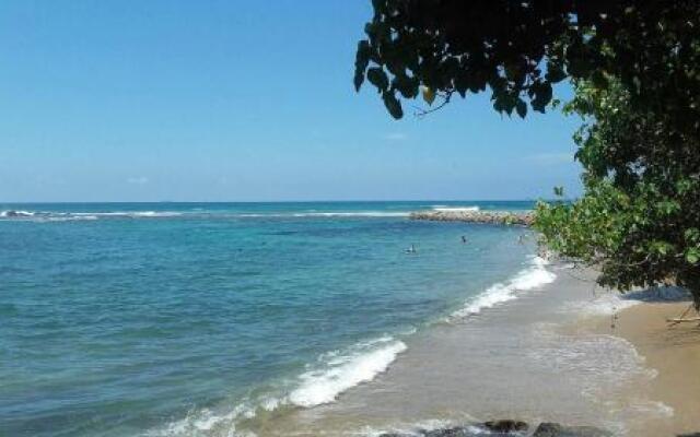 Neron resort & spa
