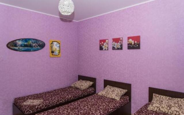 V Aleksino Guest house