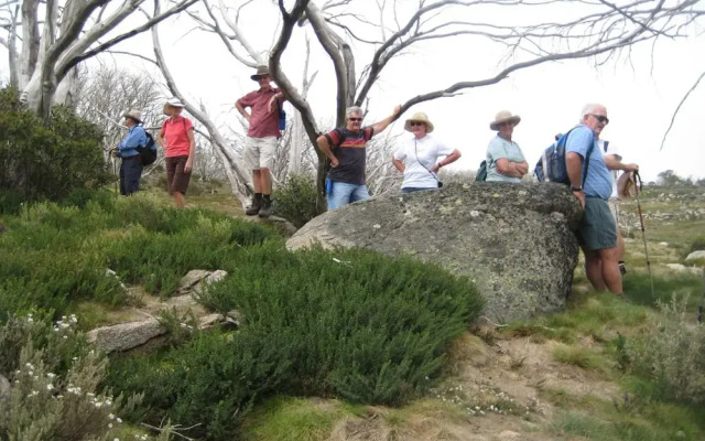 Kosciuszko Tourist Park