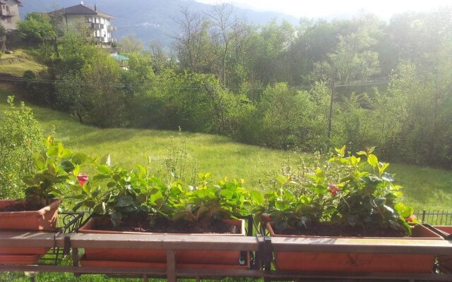 I Tre Ciliegi Apartment