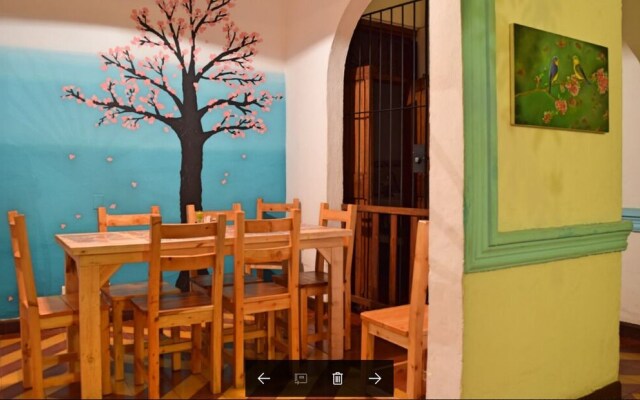 Lulos Hostal Boutique - Hostel