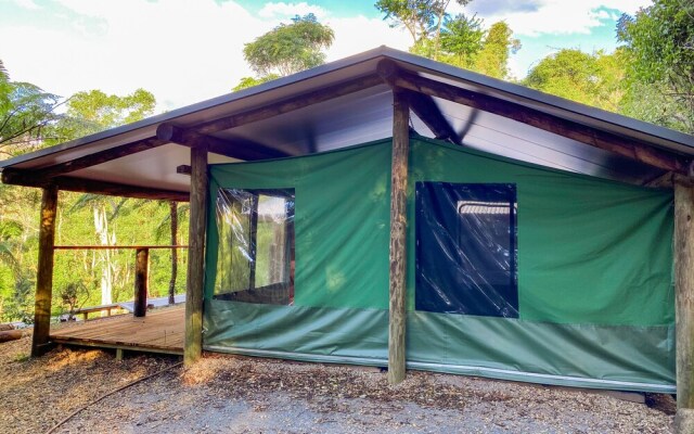 Binna Burra Rainforest Campsite
