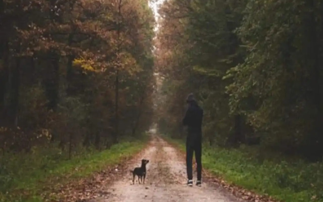 4 Star Holiday Home in Hampen