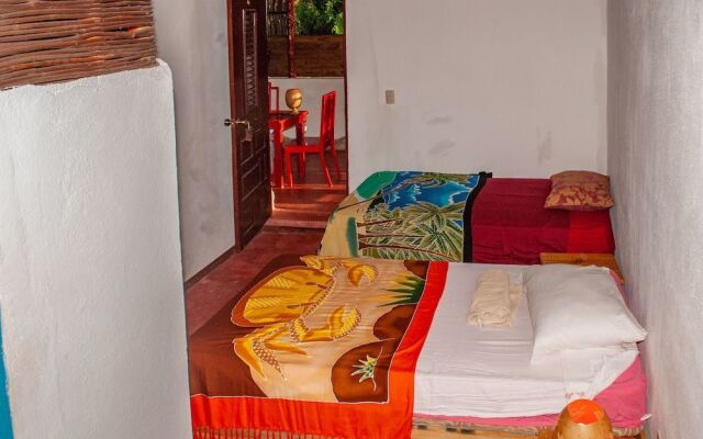 Hostel La Ballena Backpacker