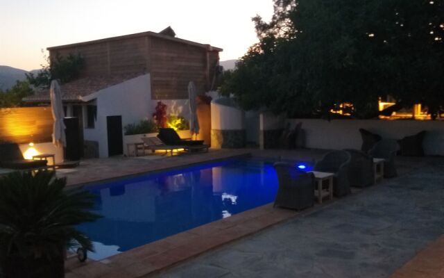 El Violin Experiencia